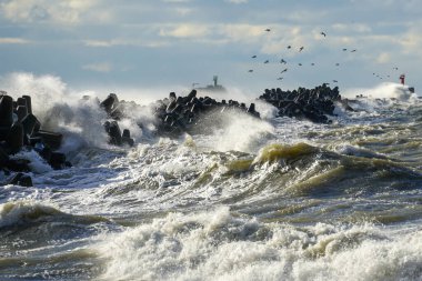 Yüksek dalgalar fırtınalı havalarda liman dalgalarına çarpar beton tetrapodlar