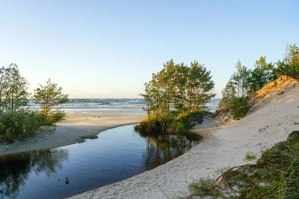 Piękny Widok Ujście Małej Rzeki Przez Wydmy Morzu Bałtyckim — Zdjęcie stockowe