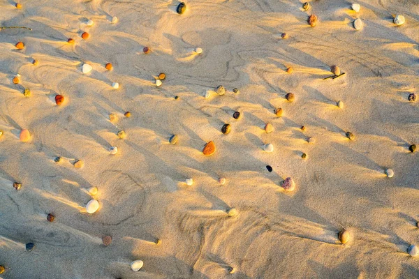 下午的阳光下 沙滩上的小彩石 风沙和阴影所形成的沙质结构的有趣背景 — 图库照片