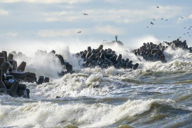 Büyük fırtınalı deniz dalgaları limana çarpıyor.