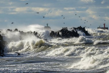 Baltık Denizi 'ndeki kıyı fırtınası, büyük dalgalar liman girişindeki beton dalgalanmalarına çarpıyor.