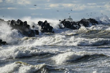 Baltık Denizi 'ndeki kıyı fırtınası, büyük dalgalar liman girişindeki beton akıntıya çarpıyor, dalga kırılıyor, aşırı hava koşulları...