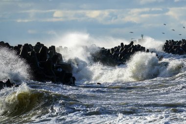 Baltık Denizi 'ndeki kıyı fırtınası, büyük dalgalar liman girişindeki beton akıntıya çarpıyor, dalga kırılıyor, aşırı hava koşulları...