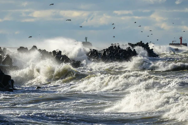 Tempestade Costeira Mar Báltico Grandes Ondas Colidem Contra Quebra Mar — Fotografia de Stock