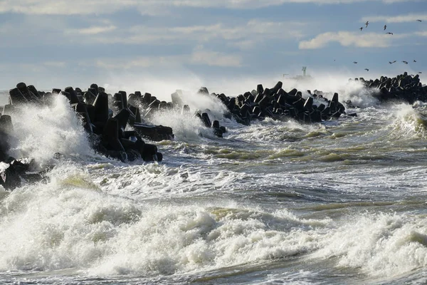 Tempestade Mar Báltico Ondas Que Atingem Tetrápodes Betão Porto Liepaja — Fotografia de Stock