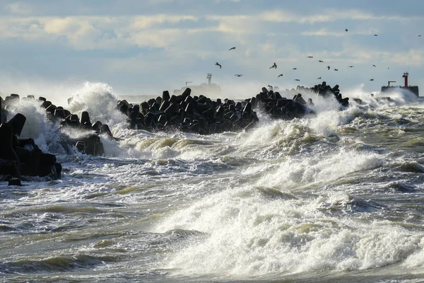 Kuststorm Oostzee Grote Golven Botsen Tegen Betonnen Golfbreker Bij Haveningang — Stockfoto