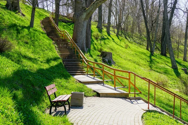 Piękna Ścieżka Spacerowa Drewnianymi Schodami Parku Przyrody Pagórkowatym Obszarze Wiosenne — Zdjęcie stockowe