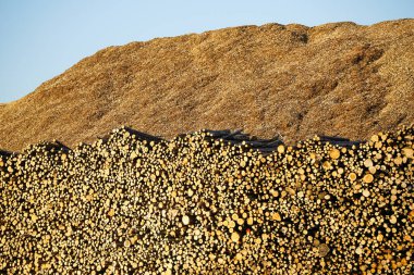 Kütük ve odun parçalı büyük yığın, sürdürülebilir yenilenebilir ısı kaynağı, kütükler ve tahta parçacıkları arka plan