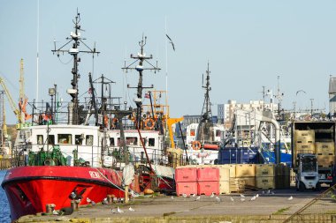 Liepaja, Letonya - Mayıs 06, 2023: Mavi arka planda balıkçı tekneleri, balık konteynırları ve martılar ile renkli liman manzarası