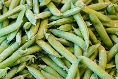 Kabuklu taze taze bezelye hasadı. Vejetaryen gıda konsepti. Organik yeşil bezelyeler. Kabuk arka planında yeşil bezelyeler