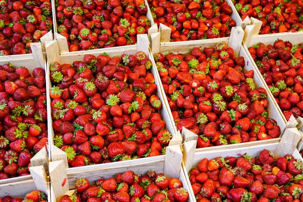 在农贸市场 新鲜收获成熟的红色有机草莓 绿叶放在木箱中 草莓的背景 新鲜草莓 — 图库照片