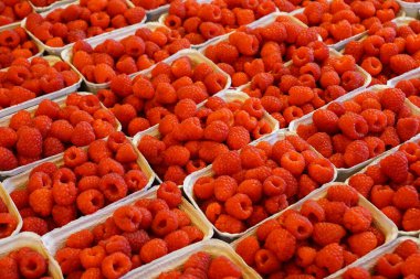 Çiftçi pazarında beyaz kağıt kaplarda taze ahududu.