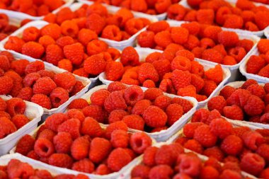 Pazarda satılık taze ahududu, dükkanda içi çiğ ahududu dolu kutular, manavda organik ve lezzetli kırmızı ahududu.