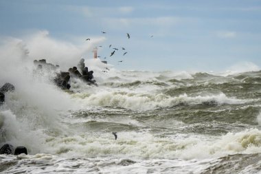 Kıyı fırtınası, yüksek dalgalar limanın beton dalgalarına çarpıyor. Beyaz damlalar, uçan martılar, karanlık gökyüzü, doğanın gücü.