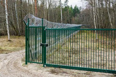 Yeni bir yeşil metal ağ çiti, sarmalanmış dikenli teller ve askeri bir tesisin yasak bölgesi etrafındaki kapı, sarmalanmış dikenli teller.