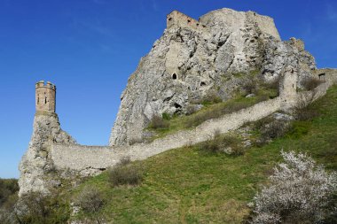 Devin Kalesi güçlendirilmiş duvarlar ve Tuna ve Morava Nehri kıyısındaki Bakire Kulesi, Bratislava, Slovakya, mavi gökyüzü arka planı