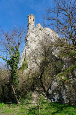 Devin Kalesi güçlendirilmiş duvarlar ve Tuna ve Morava Nehri kıyısındaki Bakire Kulesi, Bratislava, Slovakya, mavi gökyüzü arka planı