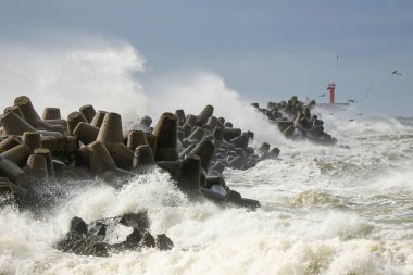 Denizde fırtına, limanın beton dalgalarına çarpan yüksek dalgalar, yüksek beyaz sıçramalar, uçan martılar, kasırga, doğanın gücü.