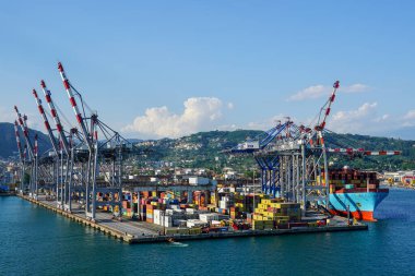 La Spezia, Italy- 28 Mayıs 2024: Birçok yüksek vinç ve kargo konteynırına sahip modern kargo konteynır terminali, tam donanımlı konteynır gemisi