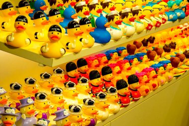 Pula, Hırvatistan - 25 Eylül 2024: Renkli ördek dükkanı koleksiyonu, eski kasabadaki plastik ördek dükkanı