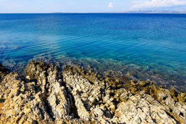 Hırvatistan 'ın Zadar kentindeki Vir adasında güzel şeffaf turkuaz su ve kayalık Adriyatik kıyıları
