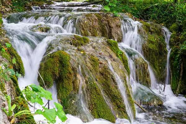 UNESCO Plitvice gölleri, akan su, yeşil doğa arka planındaki yürüyüş yolundan güzel şelalenin düşük çekim hızı.