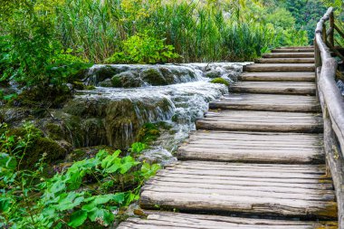 UNESCO Plitvice gölleri ulusal parkı, akan su, yeşil doğa arka planındaki güzel şelale şelalesinin alçak çekim hızı.