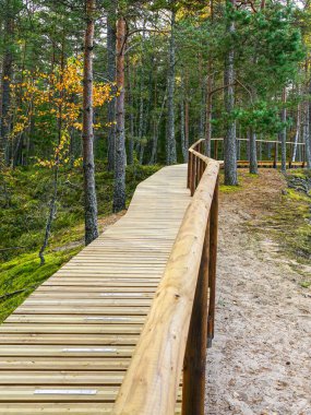 Beyaz Kumul tahta kaldırımı Baltık Denizi kıyısındaki Roja Mahallesi, Letonya, güzel manzaralı deniz kenarı doğa yürüyüşü patikası.