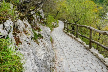 Pahalı bir doğa parkında, ahşap korkuluklu yürüyüş yolu, perspektif manzaralı, doğa parkındaki kaldırımlı patika.