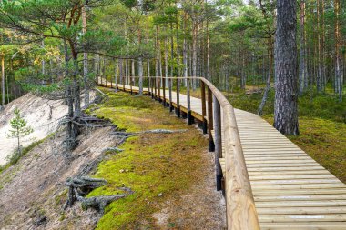 Beyaz Kumul tahta kaldırımı Baltık Denizi kıyısındaki Roja Mahallesi, Letonya, güzel manzaralı deniz kenarı doğa yürüyüşü patikası.