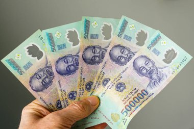 Elinde beş yüz elli bin dong banknotuyla Vietnam banknotları üzerinde Ho Chi Minh 'in gri bir portresi var.