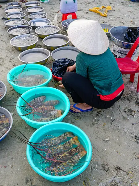 Vietnam kıyı pazarında geleneksel konik şapkalı yerel satıcı canlı ıstakoz ve su dolu havzalarda kabuklu deniz hayvanı satıyor.