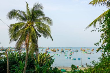 Mui Ne, Vietnam 'daki sakin körfeze dağılmış geleneksel balıkçı teknelerini çerçeveleyen palmiye ağaçlarıyla manzaralı bir sahil manzarası.