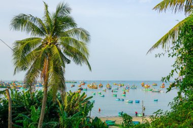 Yeşil palmiye ağaçları, muz bitkileri ve açık denizde huzur içinde yüzen canlı balıkçı tekneleri ile tropik kıyı manzarası, Mui Ne, Vietnam