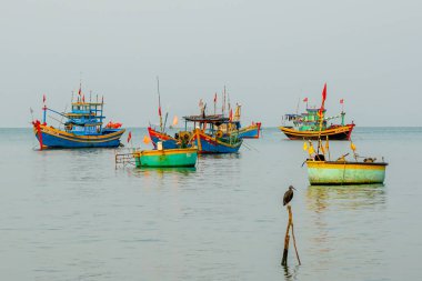 Geleneksel Vietnamlı balıkçı tekneleri berrak deniz sularında süzülür, yalnız balıkçıl kuş yakındaki ahşap bir levrek üzerinde dinlenir.