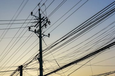 Elektrik kablolarından oluşan kaotik bir ağ ve elektrik direği silueti, alacakaranlıkta, kentsel altyapı karmaşasını gözler önüne seriyor.
