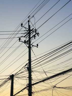Yumuşak bir akşam gökyüzüne karşı siluetlenmiş elektrik telleri ve elektrik direklerinden oluşan yoğun bir ağ, kentsel kaosu ve bağlantıyı yansıtıyor.