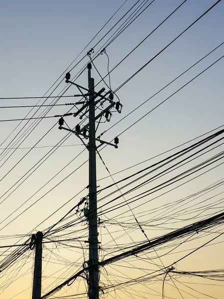 Yumuşak bir akşam gökyüzüne karşı siluetlenmiş elektrik telleri ve elektrik direklerinden oluşan yoğun bir ağ, kentsel kaosu ve bağlantıyı yansıtıyor.