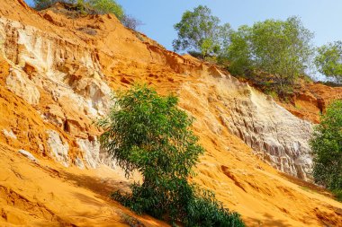 Vietnam 'daki Ham Tien Kanyonu' ndan canlı bir sahne, turuncu ve beyaz kumtaşı uçurumlarının açık mavi gökyüzünün altında yemyeşil ile buluştuğu yer.