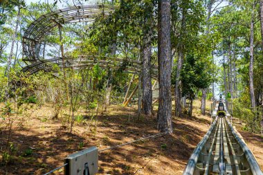 Alp treni Da Lat 'taki Datanla Şelalesi yakınlarındaki manzaralı çam ormanından yükselir ve heyecan verici bir açık hava gezisi deneyimi sunar.