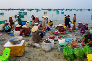 Mui Ne, Vietnam- 22 Mart 2025: Geleneksel giyinmiş kadın ve erkekler, yerel pazarlar için taze deniz ürünlerini ayırmak üzere şafak vakti plajda toplanıyorlar
