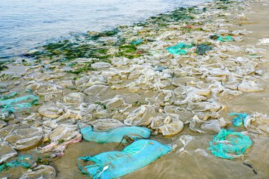 Plastik torbalar ve kum dolu torbalar Mui Ne, Vietnam 'da sahili kaplıyor, ciddi deniz ve kıyı kirliliği sorunları gösteriyor