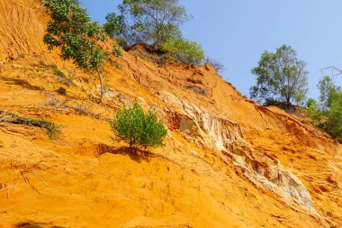 Ham Tien Kanyonu 'nun canlı turuncu kumtaşı uçurumları açık mavi bir gökyüzünün altında dağınık yeşil çalılarla tezat oluşturuyor.