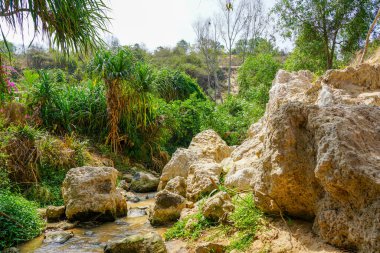 Ham Tien Kanyonu 'nun bu canlı bölümünde engebeli kayalar, akan bir dere ve huzurlu bir doğal ortamda yemyeşil yemyeşil alanlar bulunur.