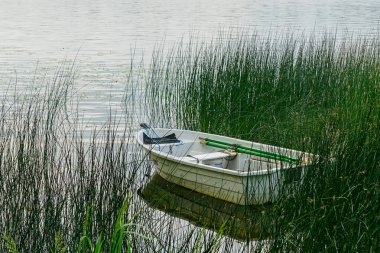 Küçük beyaz bir kayık, sakin su ve sakin doğa ile çevrili küreklerle birlikte, uzun göl kamışlarının arasında sessizce dinlenir.