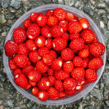 Temiz bir kasede taze toplanmış yabani çileklerin üst görüntüsü canlı kırmızı renklerini ve doğal dokusunu taştan bir arka planda sergiliyor.
