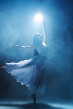 Narin beyaz elbiseli ve sivri uçlu ayakkabılı göz kamaştırıcı bir balerin, dumanla çevrili spot ışıkları altında dans ediyor. Bale sanatı, dans ilhamı. 