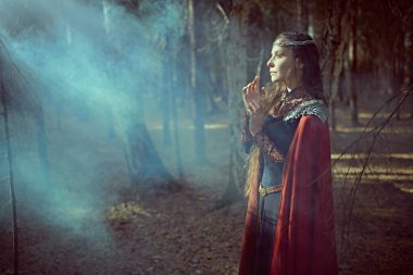 Eski efsaneler. Güzel bir ortaçağ kraliçesi sisle kaplı sık bir ormanda duruyor ve ağaç dallarının arasından kırılan ışığa bakıyor. Hayal dünyası. Boşluğu kopyala.