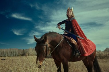 İskandinav mitolojisi. Fantezi. Savaşa hazırlanan çok güzel bir Valkyrie elinde kılıçla bir savaş atının üzerinde oturuyor.. 