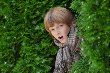 Kareli, kalın giysiler içinde, yeşil çalıların arkasından dışarı bakan sevimli sarışın bir çocuğun portresi. Kar yağışlı kış günü. Mutlu çocuklar. Çocuk modası. Boşluğu kopyala.